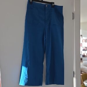 Anthropologie Vibrant Blue Chinos
